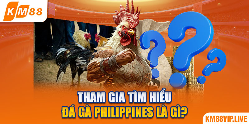 Tham gia tìm hiểu đá gà Philippines là gì?