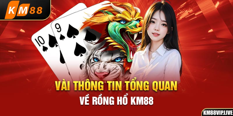 Vài thông tin tổng quan về rồng hổ KM88 