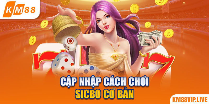 Cập nhập cách chơi Sicbo cơ bản