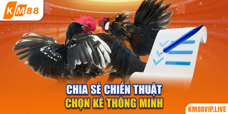 Chia sẻ chiến thuật chọn kê thông minh