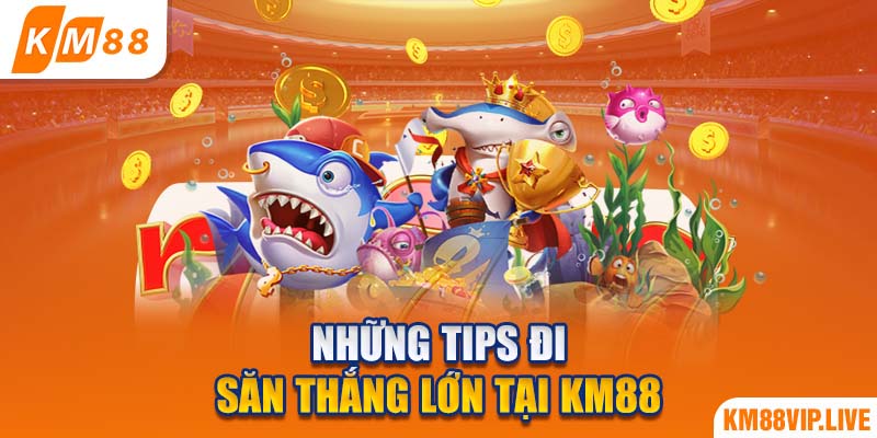 Những tips đi săn thắng lớn tại KM88