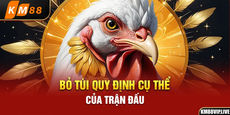 Bỏ túi quy định cụ thể của trận đấu