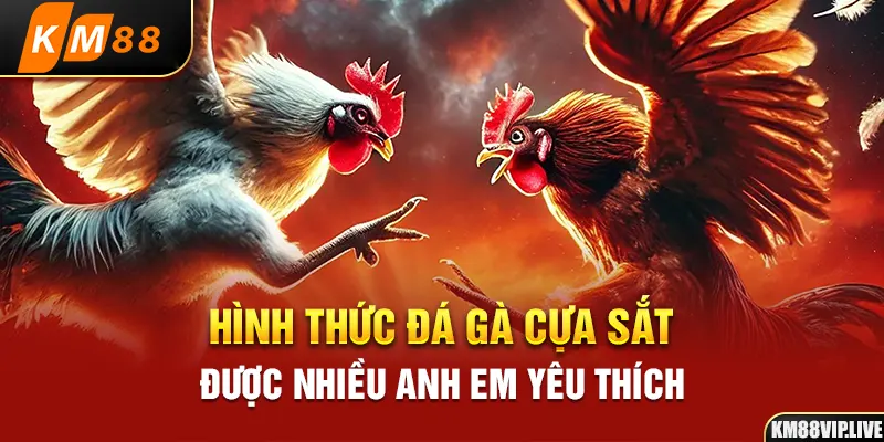 Hình thức đá gà cựa sắt được nhiều anh em yêu thích